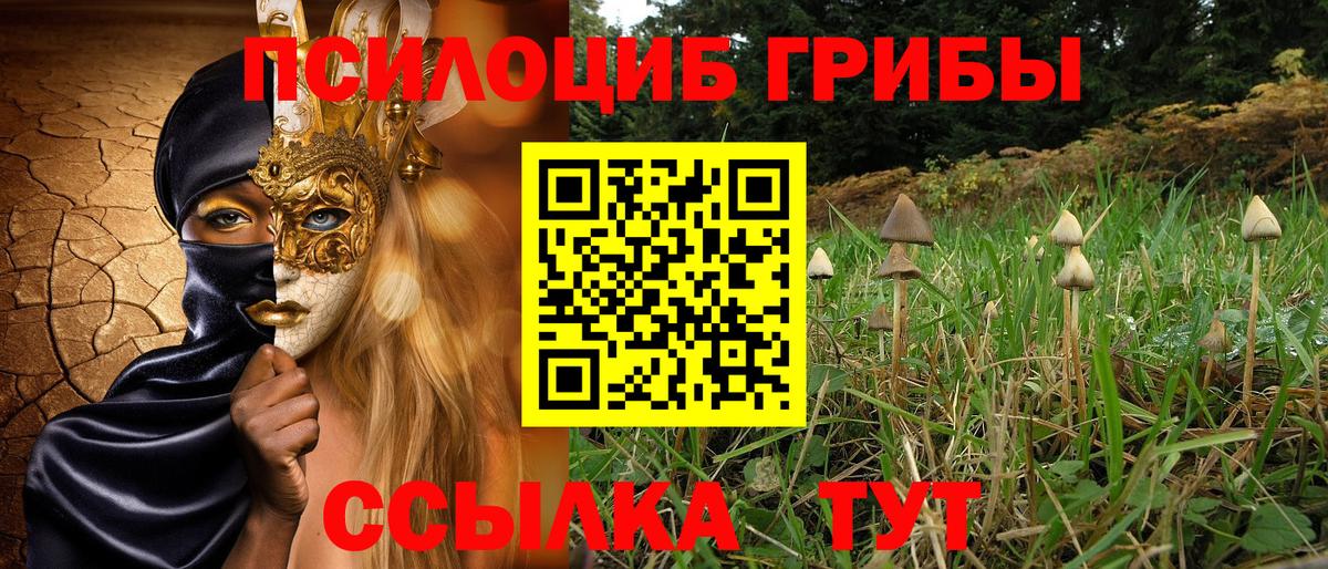 Псилоцибиновые грибы Psilocybine cubensis Шелехов