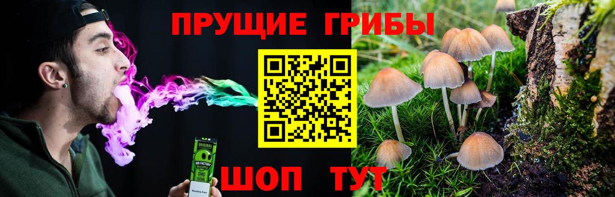 Шелехов  Псилоцибиновые грибы GOLDEN TEACHER  Вход с VPN 